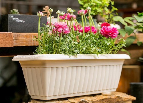 20201224171629651 20201224171629651