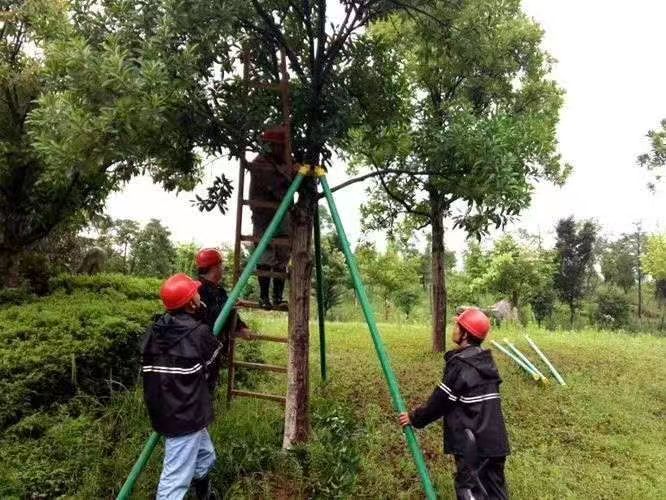 ef8c63936da4f678b6ef6fed8bb95a2 ef8c63936da4f678b6ef6fed8bb95a2