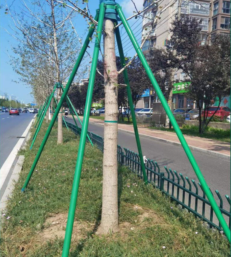 碳纖維(wéi)樹木支撐架6 碳纖維樹木支撐架6