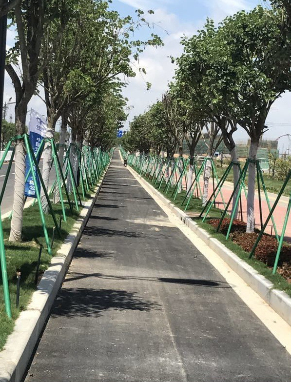 碳纖維樹木支撐架2 碳纖維樹木支撐架2