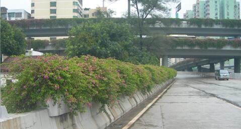 成（chéng）品花箱