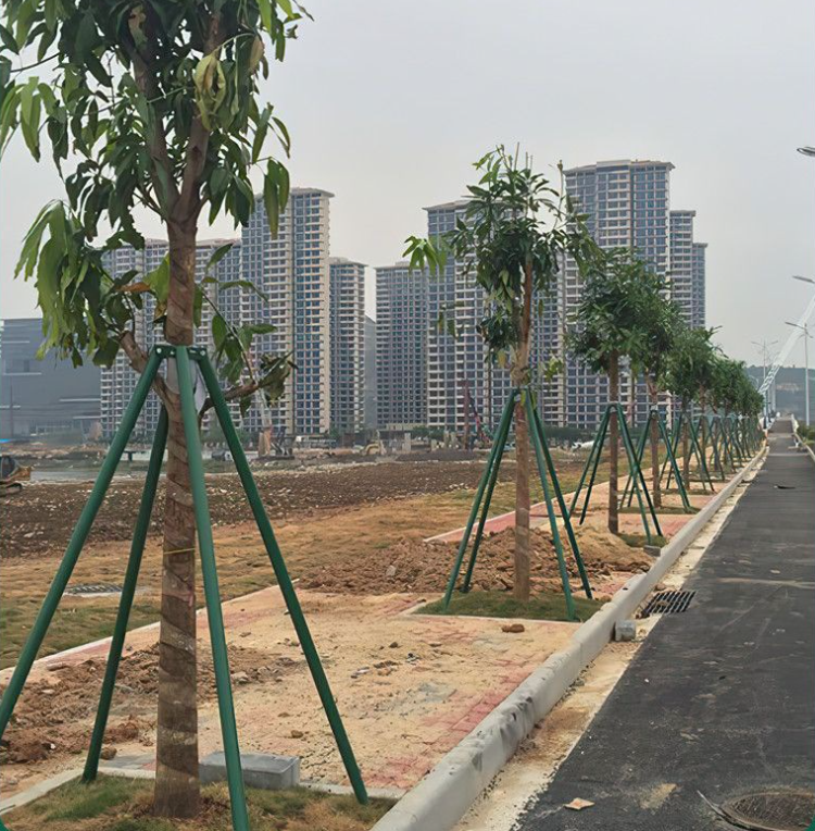 碳纖維樹木支撐架7