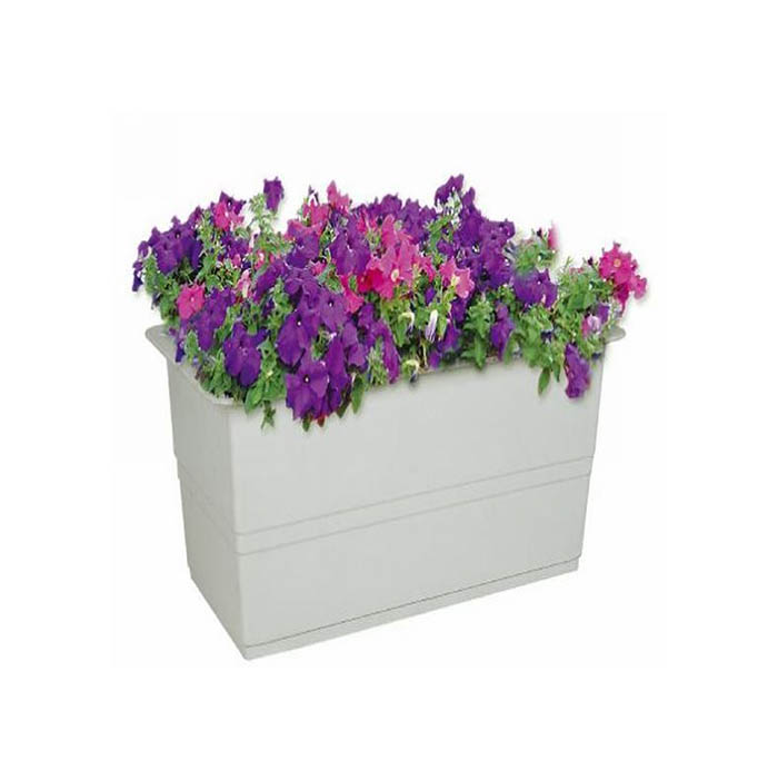 1104532116_1544665767