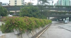 成品玻璃鋼（gāng）花（huā）箱